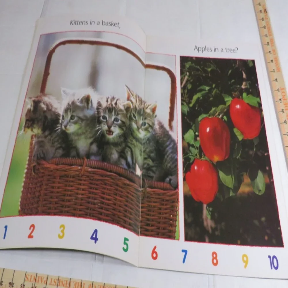 How Many BIG BOOK (almost 2 feet tall) with teacher pages CLASSROOM SIZE